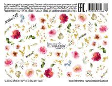 El Corazon Слайдер-дизайн №Wow-248