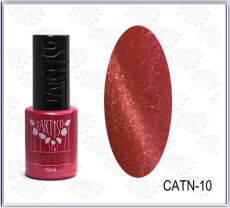 Tartiso Гель-лак кошачий глаз CatN №10 10 мл