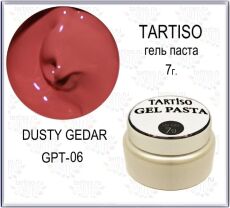 Tartiso - GEL PASTA 06 7  Dusty Cedar