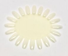 Демонстрационная палитра Ромашка овал молочный 5 шт