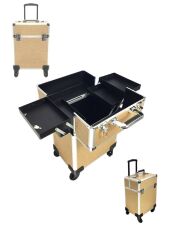 Бьюти-чемодан для мастера YH-B011 на колесах 46х34х24 см Shany Gold AB