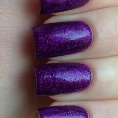 El Corazon    Confetti 513a 16 